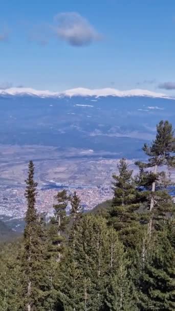 Aerial View Beautiful Town Bansko Seen Evergreen Forest Mountains Peaks — Stock Video
