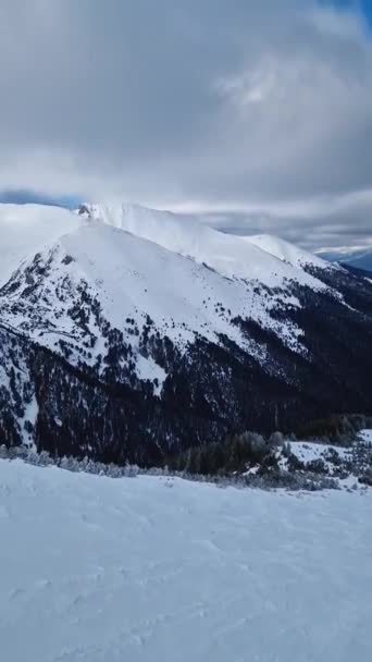 Зимние Горные Вершины Покрытые Белым Снегом Хвойным Лесом Холмах Вид — стоковое видео
