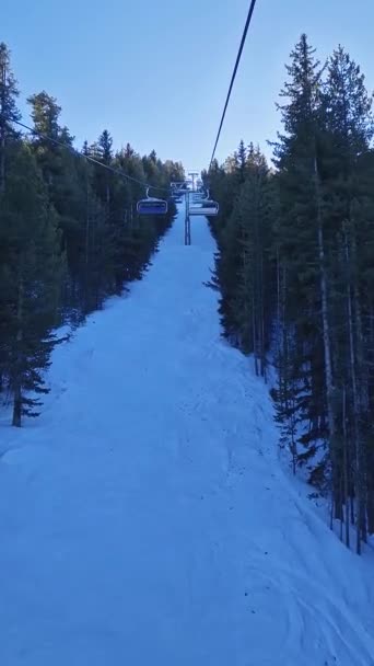 Montant Sur Télésiège Travers Forêt Conifères Station Ski Bansko Bulgarie — Video