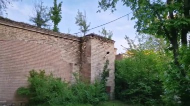 Çatlamış duvarları ve çatısında büyüyen ağaçları olan terk edilmiş eski bir bina.