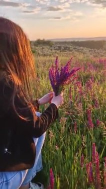 Çiçek açan yabani adaçayır otlağında genç bir bayanın oynadığı resim gibi bir yaz sahnesi bir demet güzel kokulu mor çiçeği topluyor. Salvia nemorosa çiçeği, Balkan clary