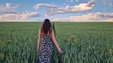 Yeşil buğday tarlasında yürüyen genç bir kadın. Resimli yaz sahnesi, huzurlu kırsal manzara, özgürlük konsepti