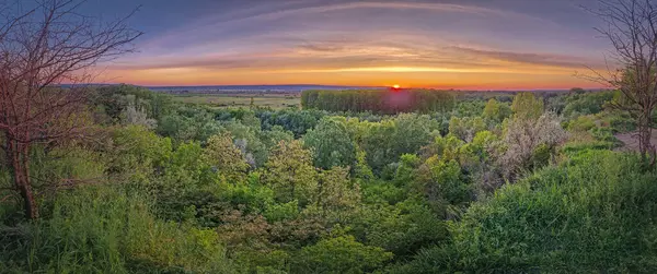 Yeşil ormanın üzerindeki bir tepenin tepesinden panoramik yaz manzarası ve ufuktaki gün batımı