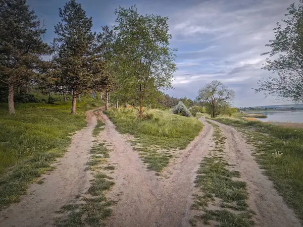 Bölünmüş kır yolu sahnesi. Yolu seçen kavram kavramı. Idyllic yaz kırsal arazisi ve doğadaki iki toprak parçası ormana ve lak 'a götürüyor.