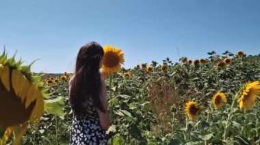 Ayçiçeği tarlasında genç bir kadın çiçekleri koklayan doğanın güzelliğinin tadını çıkarıyor.