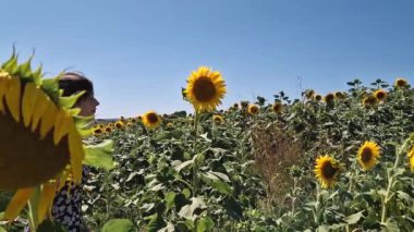 Ayçiçeği tarlasında genç bir kadın çiçekleri koklayan doğanın güzelliğinin tadını çıkarıyor.
