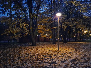 Parkta renkli bir sonbahar gecesi. Sarı yapraklar ve sokak lambalarıyla kaplı bir patika. Olay yerini sıcak bir ışıltıyla aydınlatıyor. Huzurlu sonbahar atmosferi