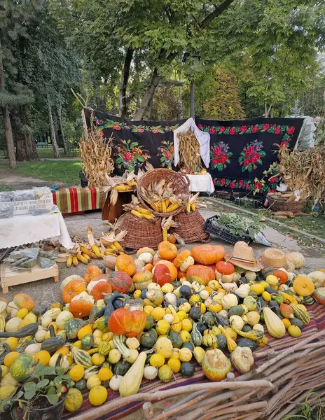 Değişik renklerde su kabakları, balkabakları ve mısırlarla dolu canlı bir açık hava tezgahı. Arka planda çiçek desenli siyah goblen, geleneksel Moldova halısı tarzı. Kırsal sonbahar festivali