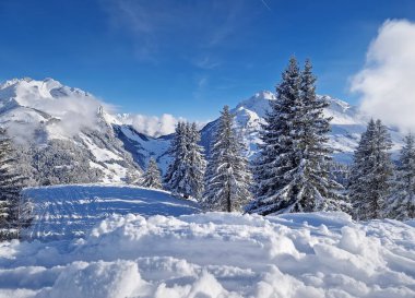 Arkaplanda, açık mavi bir gökyüzünün altında, daima yeşil ağaçlar ve kar kaplı Aravis dağları sırtı olan karlı bir manzara. Fransız Alplerinde kışın güzelliğini gösteren resim gibi bir manzara.