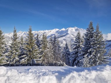 Arkaplanda, açık mavi bir gökyüzünün altında, daima yeşil ağaçlar ve kar kaplı Aravis dağları sırtı olan karlı bir manzara. Fransız Alplerinde kışın güzelliğini gösteren resim gibi bir manzara.
