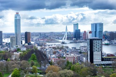 Rotterdam, Hollanda - 24 Nisan 2023: 2023 Rotterdam 'ın panoramik görüntüsü. Rotterdam 'ın tarihi, Rotte nehrine bir baraj inşa edildiği 1270 yılına dayanıyor..