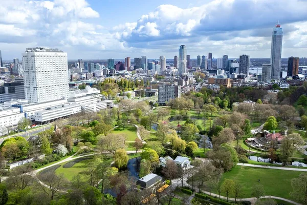 Rotterdam 'daki Euromast kulesinden panoramik manzara