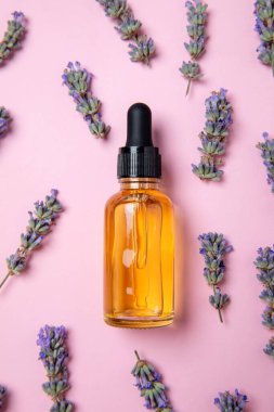 Kurumuş lavanta çiçekleriyle çevrili pembe bir zemin üzerine yerleştirilmiş bir şişe lavanta yağı. Aromaterapi, doğal cilt bakımı ve sağlık kavramları için mükemmel..