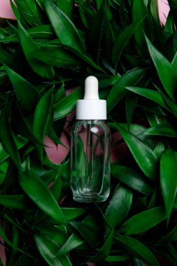 Minimalist, berrak bir damlacık şişesi yemyeşil yaprakların arasında, doğal güzelliği ve organik deriyi sembolize eder. Çevre dostu kozmetik ürünler ve bütünsel sağlıkla ilgili sunumlar için ideal.