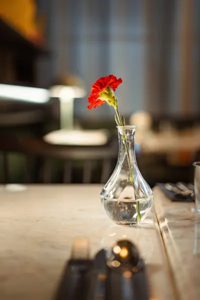 Empty restaurant table. Flower in a bottle. Dark interior. Blured background.