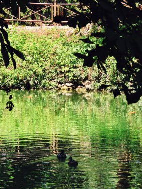 Monza İtalya 'daki göl manzarası çok güzel.