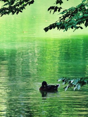 Monza İtalya 'daki göl manzarası çok güzel.