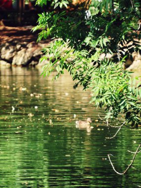 Monza İtalya 'daki göl manzarası çok güzel.