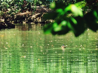 Monza İtalya 'daki göl manzarası çok güzel.