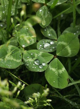 Vue sur les massifs montagneux 