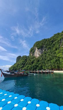 Ormanın güzel manzarası