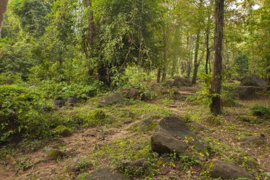 Yürüyüş yolu yeşil ağaçlı ve kayalarla dolu çakıllarla dolu..
