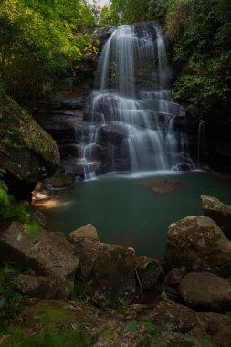 Kayaların ve çalıların arasında orta büyüklükte bir şelale, su kaynağı ve su altında kayalar var.