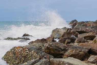 Dalgalar ve gömülü kabukları olan bir deniz kenarı kayası.