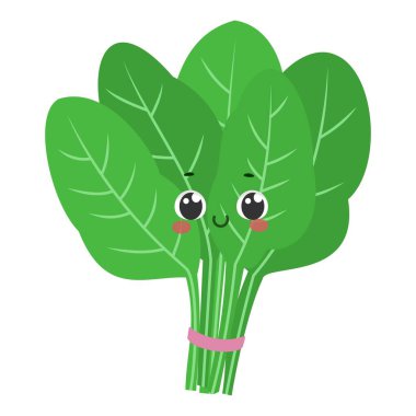 Tatlı gülümseyen ıspanak çizgi film karakteri çizimi izole edildi