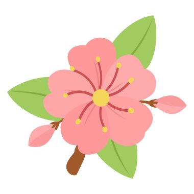 Pembe kiraz çiçeği vektör çizimleri beyaz arkaplanda daha az izole edilmiş