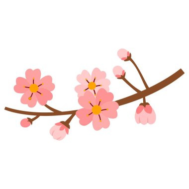 Beyaz arkaplanda izole edilmiş kiraz çiçeği dal çizimi