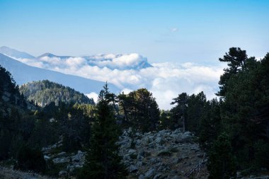 Fransa, Alplerdeki Chamrousse 'da yaz dağı manzarası