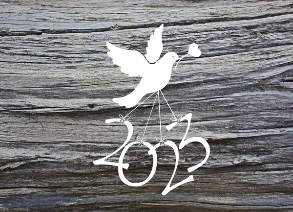 一只鸽子把2023年的数字放在木制背景上 — 图库照片