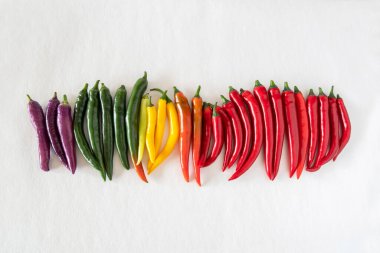 Farklı renkte biberlerin yakın çekimi