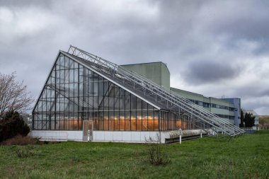 Ekolojik tarım için sarı ışıklı bir seranın mimarisi.