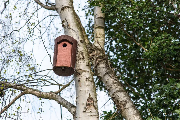 Birdhouse Uma Árvore Floresta Jardim — Fotografia de Stock