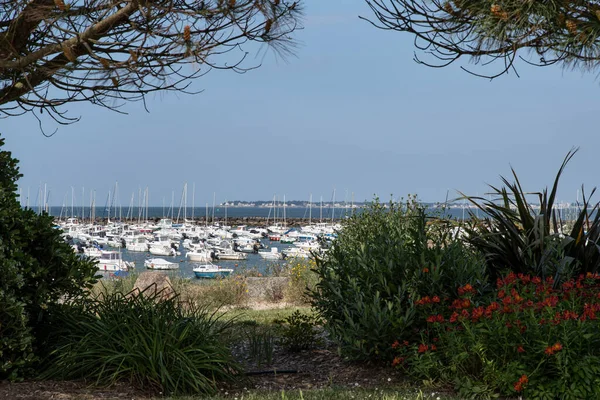 Haven Kustlandschap Met Kustplanten Voor Een Haven Bretagne Het Voorjaar — Stockfoto