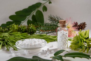Arka planda beyaz homeopatik granülleri ve doğal bitkileri olan alternatif tıp