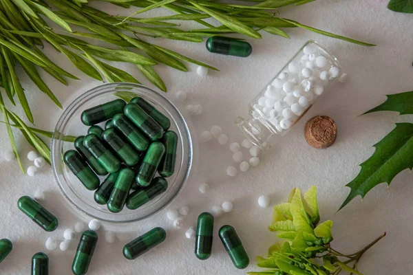 Alternatív Gyógyászat Fehér Homeopátiás Granulátummal Természetes Növényekkel Háttérben — Stock Fotó