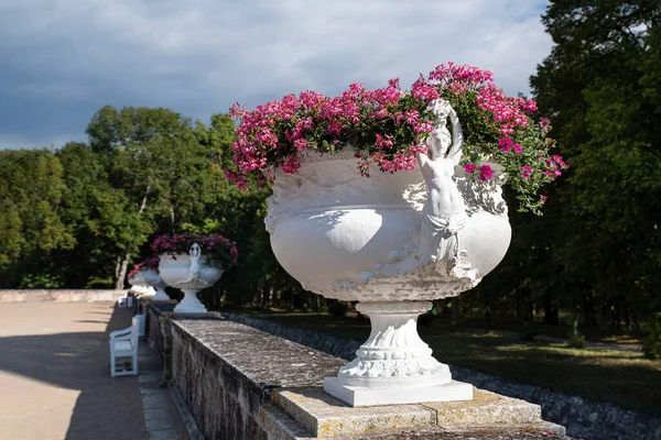 Blomster Gryde Avenue Slottet Chenonceau Loire Valley Frankrig - Stock-foto