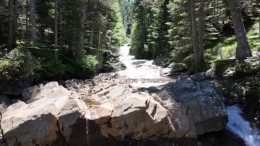 Ormanın ortasındaki bir dağ nehrinin havadan görünüşü