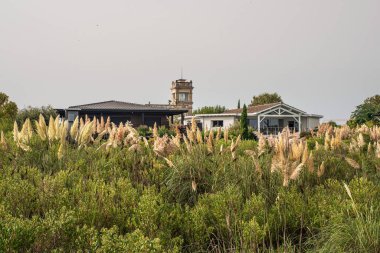 Fransa 'nın Arcachon kasabasında güzel bir ev