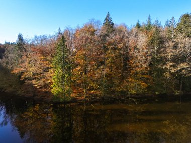 Sonbahar renklerinde orman bir göle yansıyor.