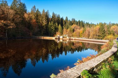 Sonbaharda Burgundy, Fransa 'da bir baraj etrafında ağaçlar ve göl manzarası, güneş ışığı, suda güzel bir yansıma.