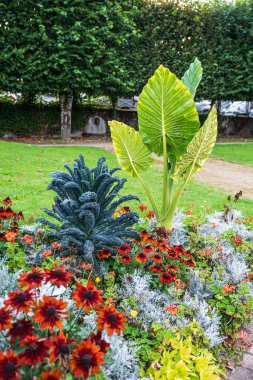 Ağaçların önündeki yeşil çimlerin üzerinde çiçekler ve bitkiler