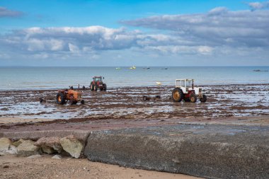 Tractors on the beach to work in oyster beds by the sea in France clipart