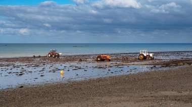 Tractors on the beach to work in oyster beds by the sea in France clipart