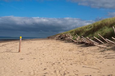 Kum tepeli kumsal ve Fransa 'nın Normandiya kentinde deniz kenarında sürdürmek için bitkiler.