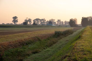 Normandiya, Fransa 'da ağaçlarla ve çevresindeki doğayla ekili tarlalar