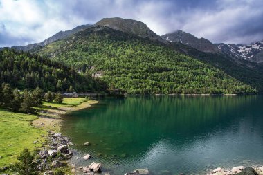 Ormanların ortasında dağ gölü ve yazın yeşil bitki örtüsü
